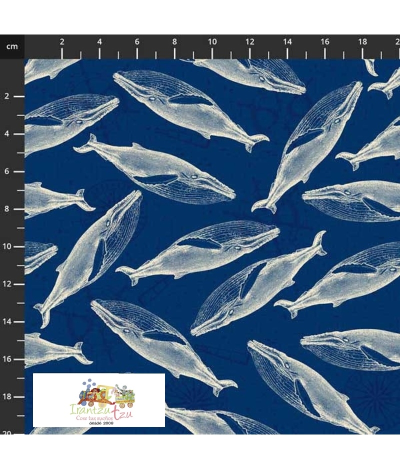 Tela Stof Fabrics My Seven Seas Whale & Underwater 4501-591